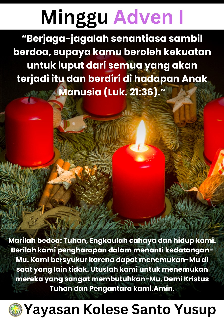 WhatsApp Image 2024-11-29 at 10.54