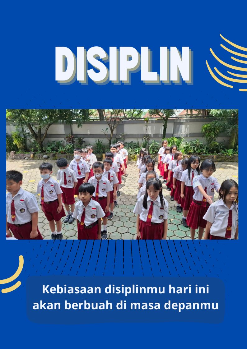 web disiplin